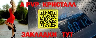 амф Камышлов