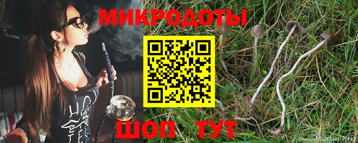 Галлюциногенные грибы прущие грибы  купить наркотики цена  Гусиноозёрск  Вход с VPN 